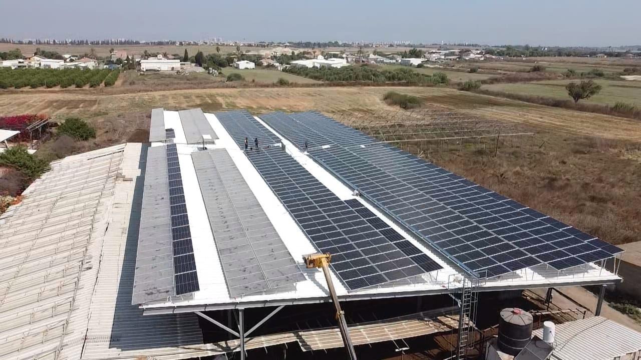 קיבוץ גאיה